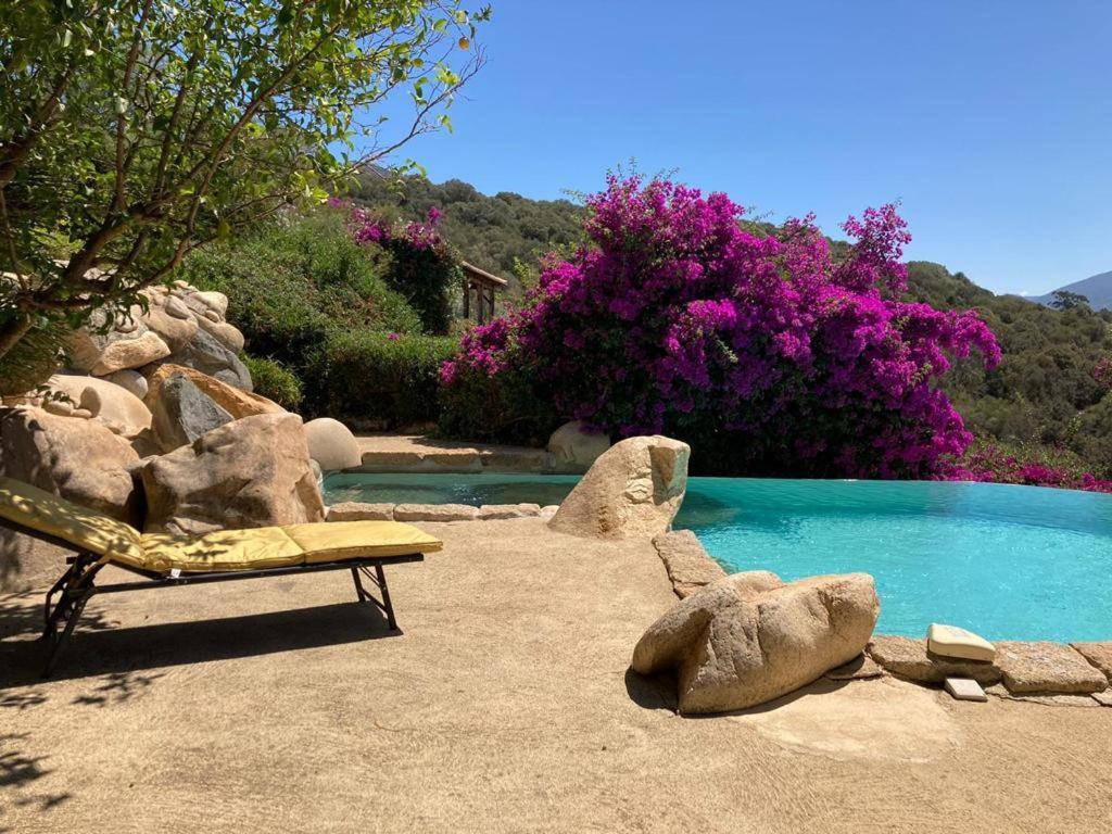 Villas Valinco San Martinu Corse Du Sud - Vue Et Proche Mer - Piscines-7 Chambres โอลเมโท ภายนอก รูปภาพ
